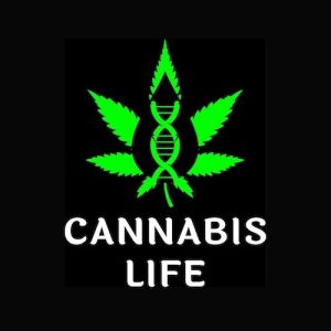 Cannabis Life