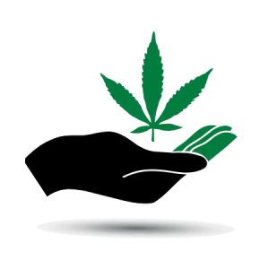 Thee Leaf